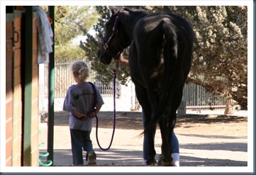 WestTrip,Week8 124 WestTrip,Week8 124