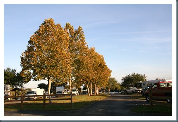 OrtonaFranklin,10-10 184 OrtonaFranklin,10-10 184