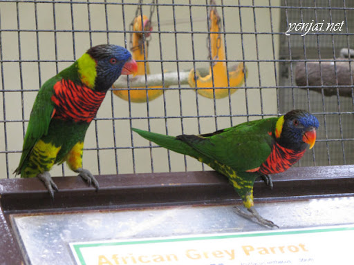 KL Bird Park