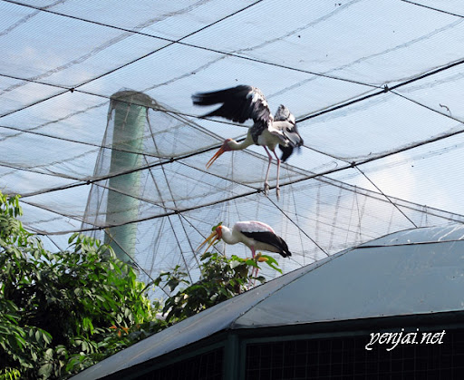 KL Bird Park
