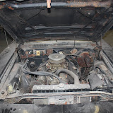 IMG_5486.JPG