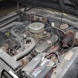 IMG_5489.JPG