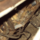 DSC00111.JPG