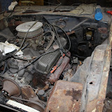 IMG_6420.JPG