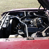 IMG_7300.JPG