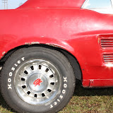IMG_7317.JPG