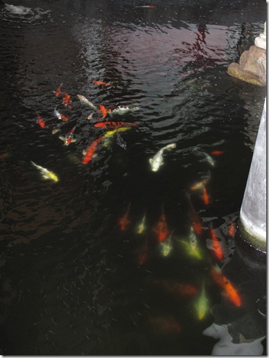 Fish Kaw Kwang Resort Fish Kaw Kwang Resort