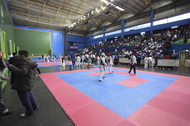 VIII Open Internacional de Taekwondo mañana en Arrigorriaga