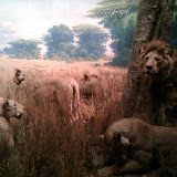 2010-02-27 14.43.12.jpg