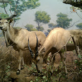 2010-02-27 14.45.02.jpg