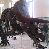 2010-02-27 15.57.59.jpg