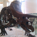 2010-02-27 15.58.07.jpg