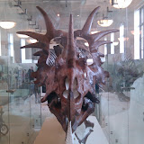 2010-02-27 15.57.27.jpg