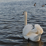 DSC_0189.JPG