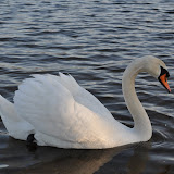 DSC_0187.JPG