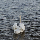 DSC_0191.JPG