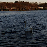 DSC_0197.JPG