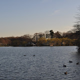 DSC_0202.JPG