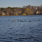DSC_0119.JPG