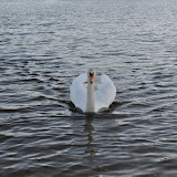 DSC_0122.JPG