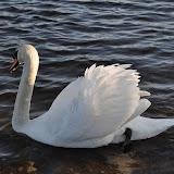 DSC_0124.JPG