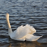 DSC_0127.JPG
