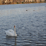 DSC_0207.JPG