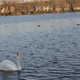 DSC_0206.JPG