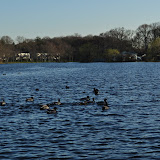 DSC_0134.JPG