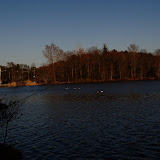 DSC_0145.JPG