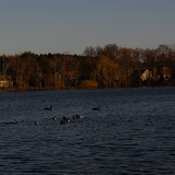 DSC_0148.JPG