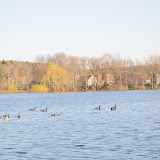 DSC_0149.JPG