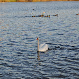 DSC_0154.JPG