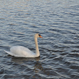 DSC_0157.JPG