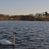 DSC_0159.JPG