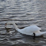 DSC_0167.JPG