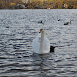 DSC_0169.JPG
