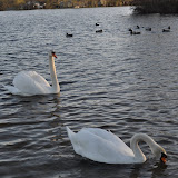 DSC_0171.JPG