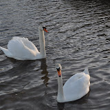 DSC_0174.JPG
