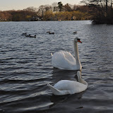 DSC_0176.JPG