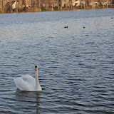 DSC_0208.JPG
