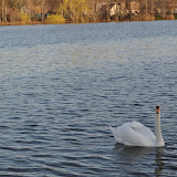 DSC_0210.JPG