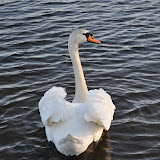DSC_0226.JPG