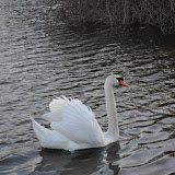 DSC_0238.JPG