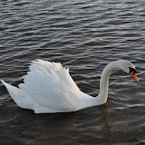 DSC_0261.JPG