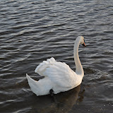 DSC_0262.JPG