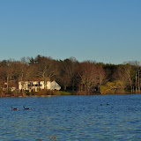 DSC_0265.JPG