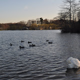 DSC_0264.JPG