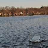 DSC_0268.JPG