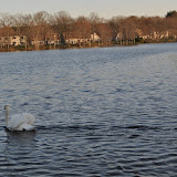 DSC_0271.JPG